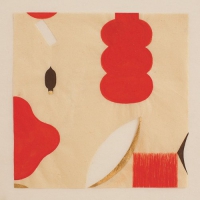 Federico Durand - La Nina Junco vinyl cover