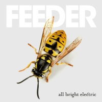 Feeder - All Bright Electric vinyl cover