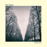 Feelies - In Between vinyl cover