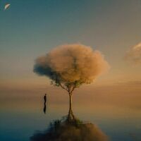 Fejka - Hiraeth vinyl cover