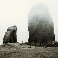 Fejka - Reunion vinyl cover