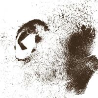 Fell - Peiden vinyl cover