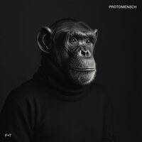 Felsmann + Tiley - Protomensch vinyl cover
