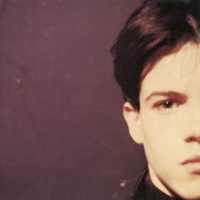 Felt - Forever Breathes The Lonely Word vinyl cover