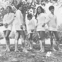 Female Species - Tale Of My Lost Love vinyl cover