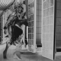 Femme - Ruderal Exotique vinyl cover