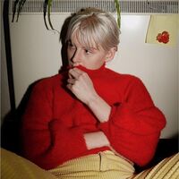 Fenne Lily - Breach vinyl cover