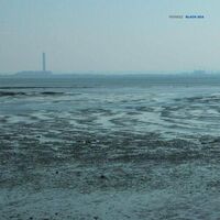 Fennesz - Black vinyl cover