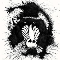 Feral Ohms - Feral Ohms vinyl cover