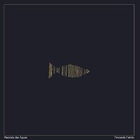 Fernando Falcao - Memoria Das Aguas vinyl cover