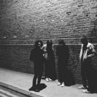 Fews - Means vinyl cover