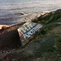 Fidlar - Almost Free vinyl cover