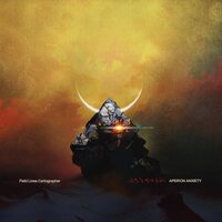 Field Lines Cartographer - Apeiron Anxiety vinyl cover