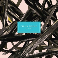 Field Mouse - Episodic vinyl cover