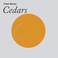 Field Works - Cedars vinyl cover