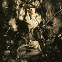 Fields Of The Nephilim - Elizium (Deluxe Edition, Brick Red) vinyl cover