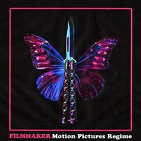 Filmmaker - Motion Pictures Regime