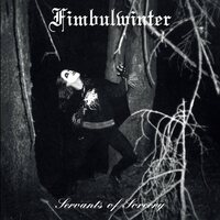 Fimbulwinter - Servants Of Sorcery (Gold) vinyl cover