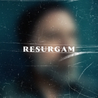 Fink - Resurgam vinyl cover