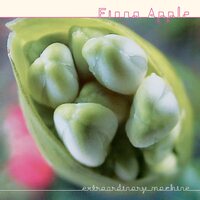 Fiona Apple - Extraordinary Machine vinyl cover