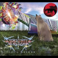 Fire-Toolz - Rainbow Bridge vinyl cover