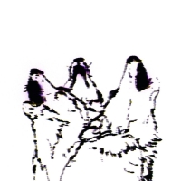 Fjaak - Wolves / Pray For Berlin vinyl cover