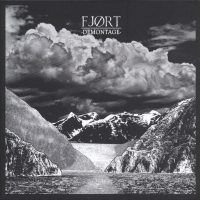 Fjort - Demontage vinyl cover