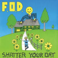 Flag Of Democracy (Fod) - Shatter Your Day vinyl cover