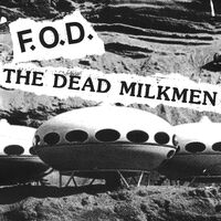 Flag Of Democracy (Fod) - Split vinyl cover