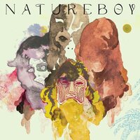 Flako - Natureboy vinyl cover