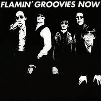Flamin & #39 - Now vinyl cover