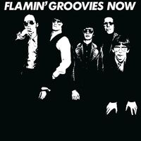 Flamin Groovies - Now (White) vinyl cover
