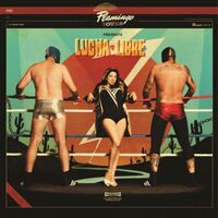 Flamingo Tours - Lucha Libre vinyl cover