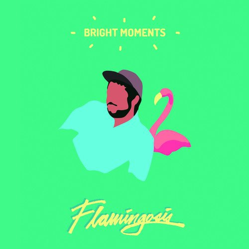 Flamingosis - Bright Moments vinyl cover