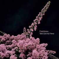 Flashbaxx - Take Care My Friend vinyl cover