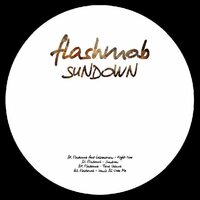 Flashmob - Sundown Album Sampler vinyl cover