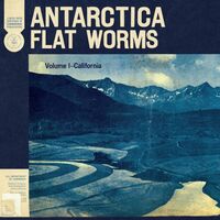Flat Worms - Antarctica vinyl cover