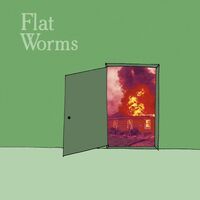 Flat Worms - The Guest vinyl cover