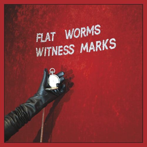Flat Worms - Witness Marks vinyl cover