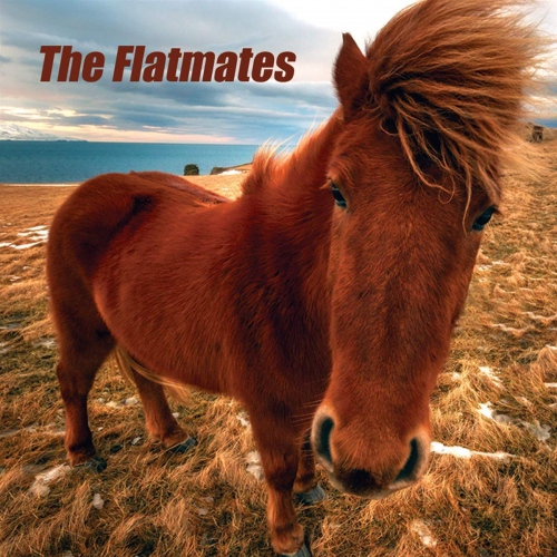 Flatmates - Flatmates vinyl cover