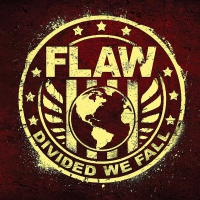 Flaw - Divided We Fall vinyl cover