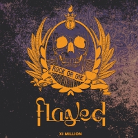 Flayed - Xi Million vinyl cover