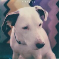 Fleabite - Nvm vinyl cover
