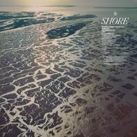 Fleet Foxes - Shore vinyl cover