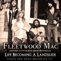 Fleetwood Mac - Life Becoming A Landslide vinyl cover