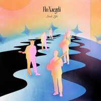 Flo Naegelie - Lush Life vinyl cover