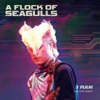 Flock Of Seagulls - I Ran vinyl cover