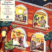 Flofilz - Dim Down vinyl cover