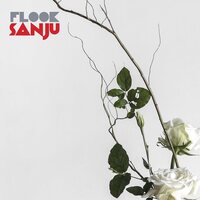 Flook - Sanju vinyl cover