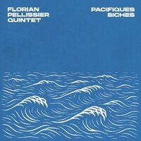 Florian Pellissier - Pacifiques Biches vinyl cover